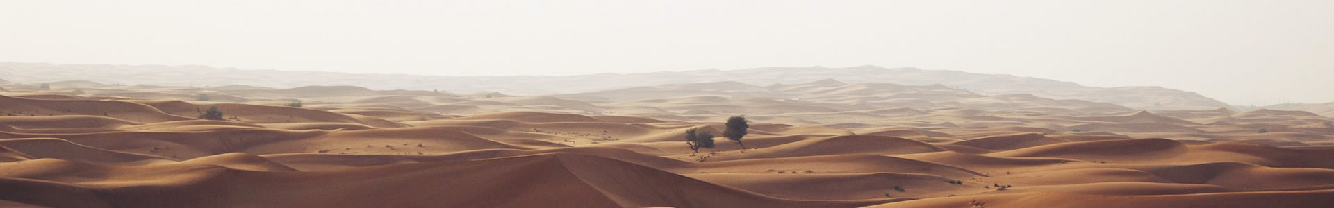 Ȫдó޹˾